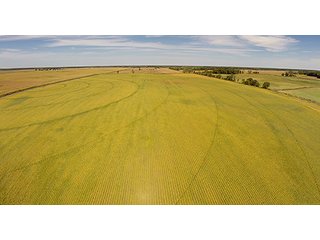 Property photo 15 - REAL ESTATE AUCTION - 230+/- ACRES IN 2 TRACTS IN STARKE COUNTY